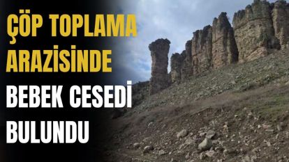 Ankara'da vahşet!