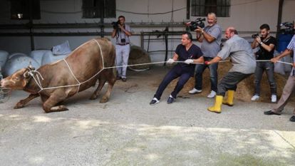 Hayvan kesecek kimselerde bulunması gereken şartlar nelerdir?