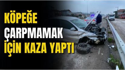 KÖPEĞE ÇARPMAMAK İÇİN KAZA YAPTI
