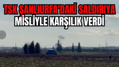 TSK Şanlıurfa'daki saldırıya misliyle karşılık verdi