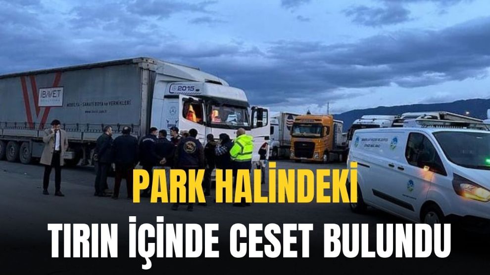 Dinlenme tesisinde park halindeki tırın içinde erkek cesedi bulundu