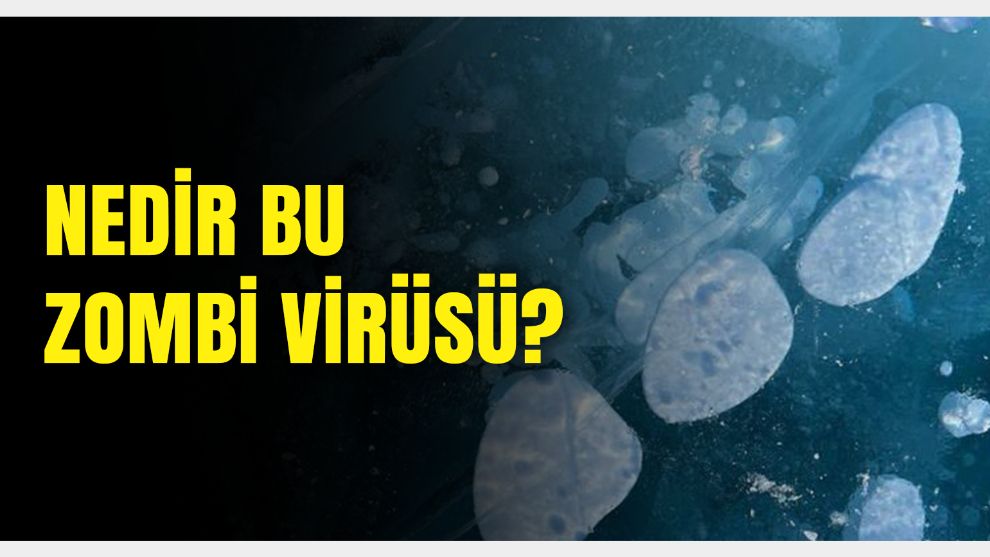 Fransız bilim insanları donmuş topraktan tehlikeli mikroplar çıkarıyor: Zombi virüsü nedir?