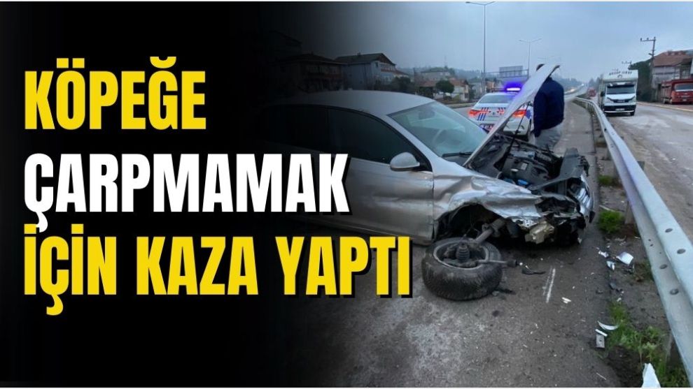 KÖPEĞE ÇARPMAMAK İÇİN KAZA YAPTI