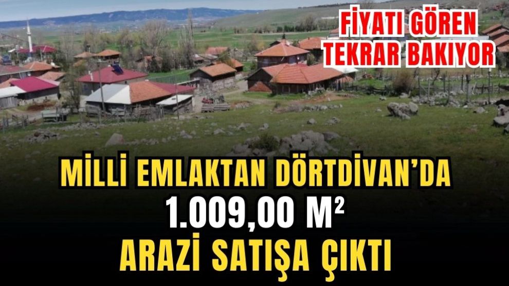 MİLLİ EMLAKTAN DÖRTDİVAN'DA ARAZİ SATIŞA ÇIKTI