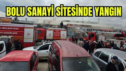Bolu Sanayi Sitesinde Korkutan Yangın