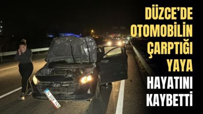  DÜZCE'DE OTOMOBİLİN ÇARPTIĞI YAYA HAYATINI KAYBETTİ