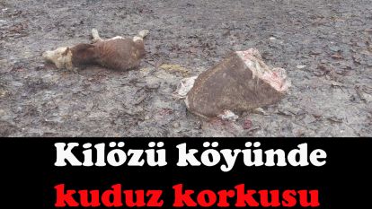 Kilözü Köyü'nde Kuduz Korkusu