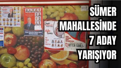 Sümer Mahallesinde 7 aday Yarışıyor