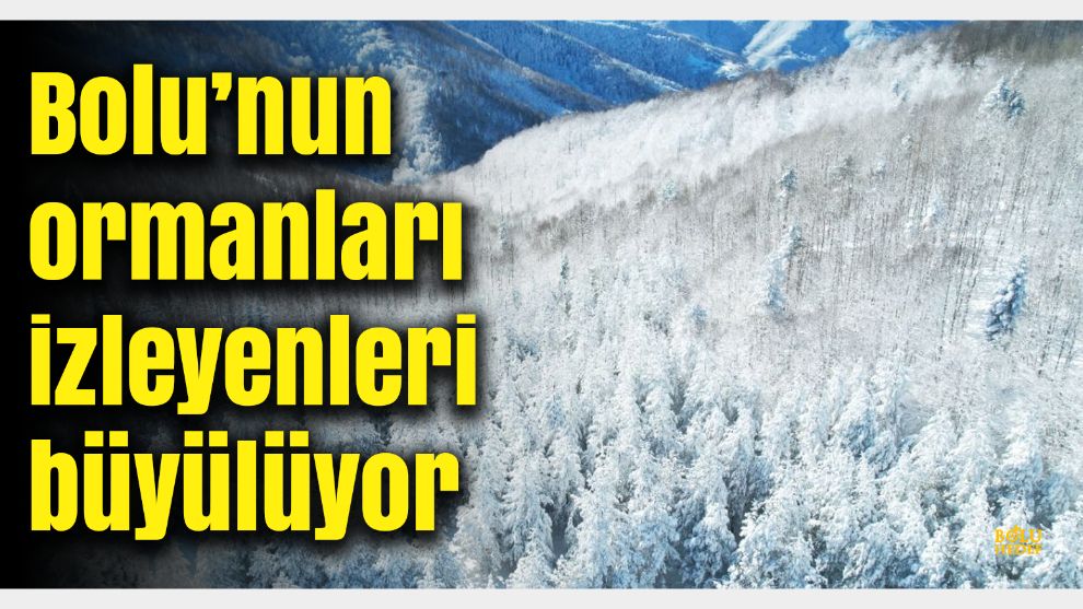 Bolu'nun Kuzey Ormanları, Doğal Terapinin Adresi: Beyaz Örtüsüyle Büyülüyor!