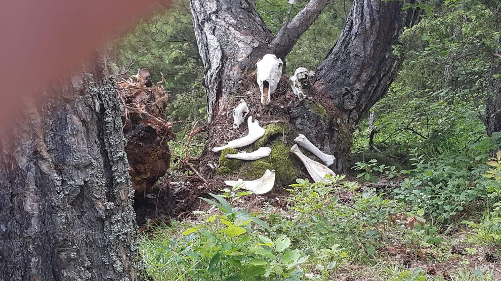 Doğaseverlerin Buluşma Noktası 