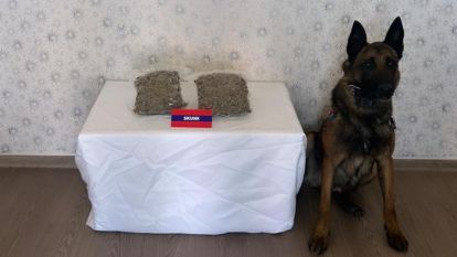 Bolu İl Jandarma Komutanlığı 1048 gr. skunk maddesi ele geçirdi.