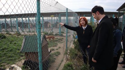 Bolu'nun Dostlarına Yenilikçi Yaklaşım: Bilim Kurulları Söz Sahibi Olacak