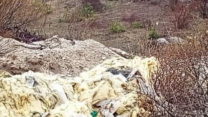Göynük Hisarözü Çayı Kimyasallarla doldu taştı.