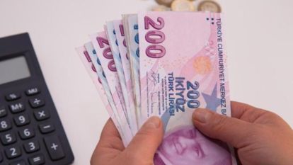 İktisatçı Mahfi Eğilmez, Kamu harcamalarına dikkat çekti