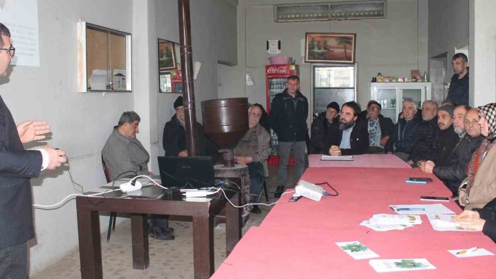 300’den fala bitkiye zarar veriyor