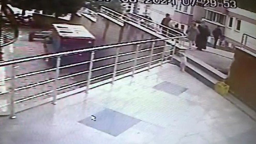Sokak kedilerine çarpan sürücülere 14 bin 432 lira ceza