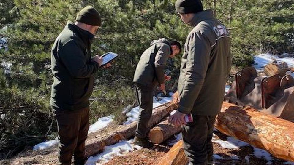 Mudurnu'da İlk Barkodlu Orman Emvali İhalesi