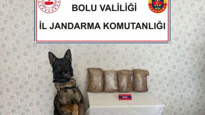 Bolu'da 3.080 Gram Skunk Ele Geçirildi