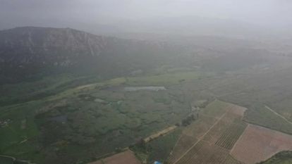 Çöl tozları 'bereket' getirir mi: 'Gökten gübre yağıyor'