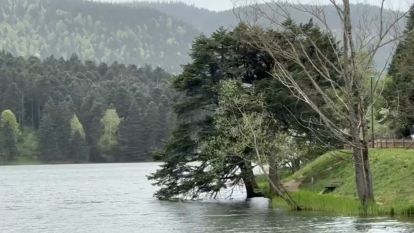 Bolu'da şiddetli rüzgar etkili oluyor