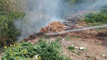Yol kenarındaki çürümüş samanlar alev aldı