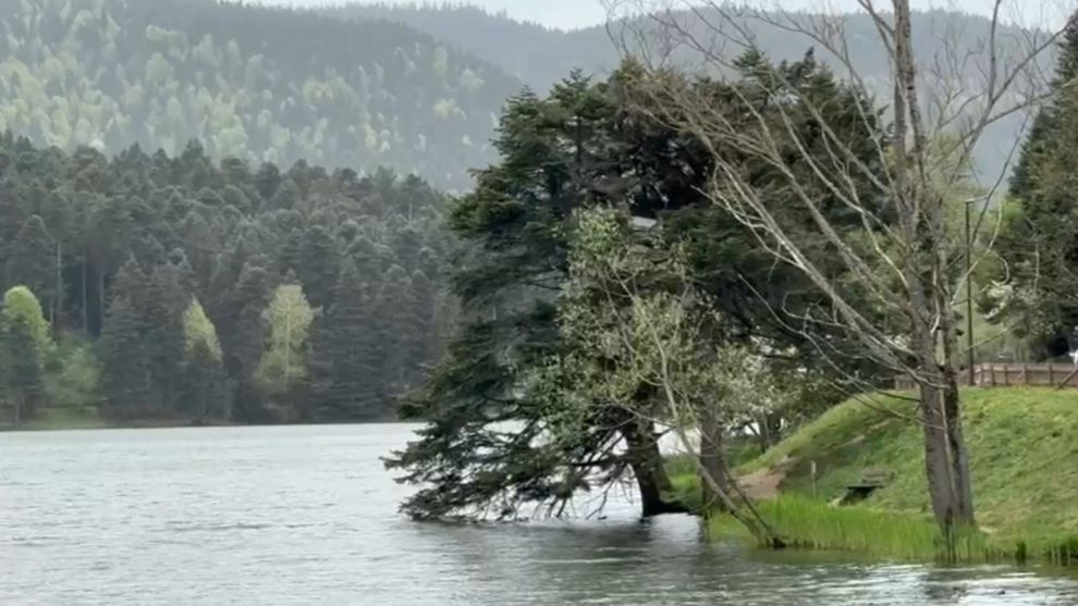 Bolu'da şiddetli rüzgar etkili oluyor