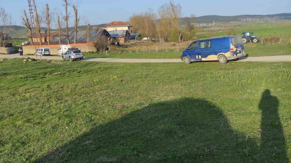 Kestiği ağacın altında kalan şahıs öldü