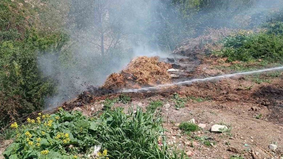 Yol kenarındaki çürümüş samanlar alev aldı
