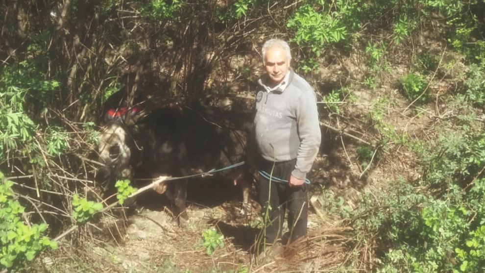 Sarı kız Kanala düştü
