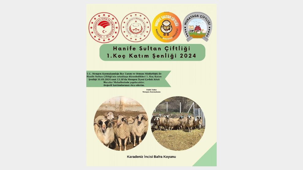 Mengen’de “Koç Katım Şenliği” düzenlenecek