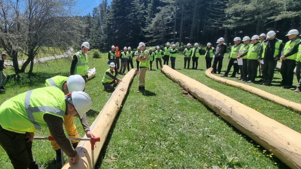 Mudurnu'da Orman Üretim ve Standardizasyon Tatbikatı Gerçekleştirildi