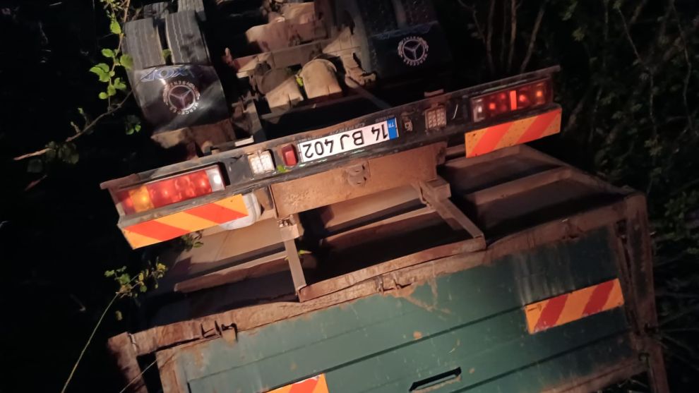Tavuk yüklü kamyon uçuruma devrildi, yüzlerce tavuk telef oldu