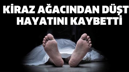 Kiraz ağacından düştü hayatını kaybetti