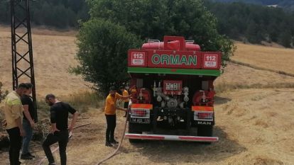Mudurnu'da otlar elektrik tellerine çaptı, ot yangını çıktı