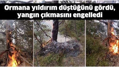 Ormana yıldırım düştüğünü gördü, yangın çıkmasını engelledi