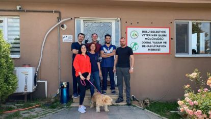 Tümör ameliyatı olan Terrier cinsi köpek sahiplendirildi