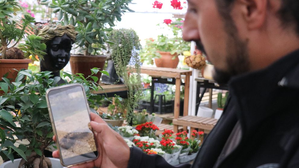 Isırdığında öldüren yılan türü Bolu'da görüntülendi 