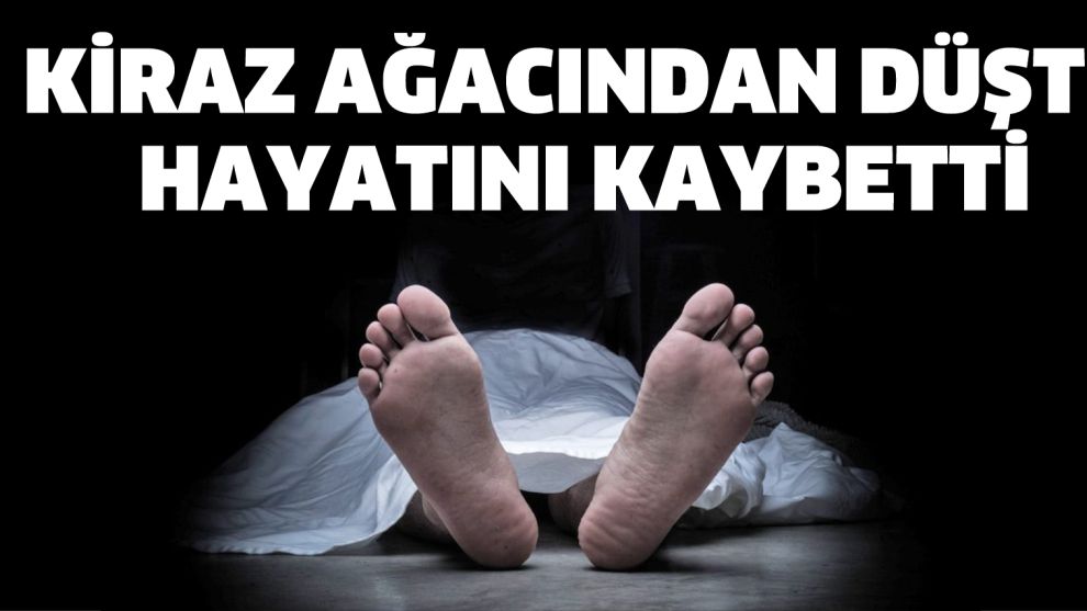 Kiraz ağacından düştü hayatını kaybetti