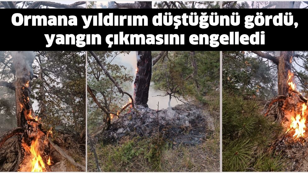 Ormana yıldırım düştüğünü gördü, yangın çıkmasını engelledi