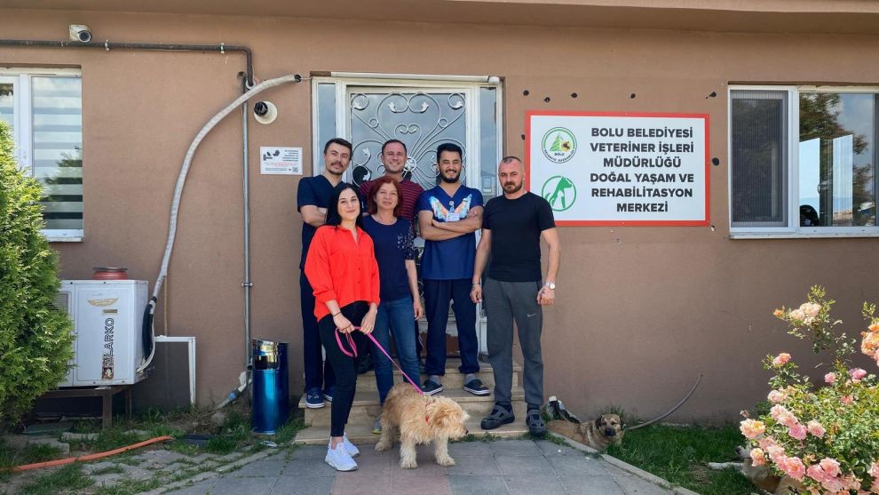 Tümör ameliyatı olan Terrier cinsi köpek sahiplendirildi