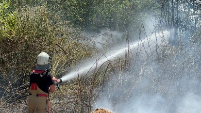 İtfaiyenin zamanında müdahalesi, anız yangınını önledi