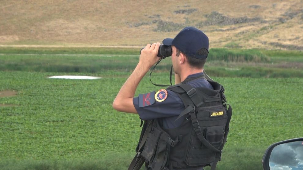 Bolu dahil sadece 5 ilde bulunuyor! Varto ilçesinde keşfedilince koruma altına alındı