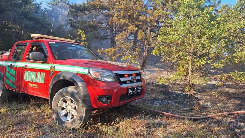 Bolu'da çıkan orman yangını çıktı