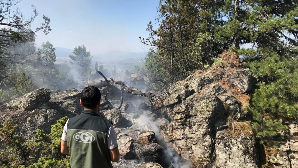 Kıbrıscık’ta orman yangını büyümeden söndürüldü