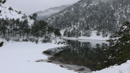 Sünnet Gölü'nde kış güzelliği