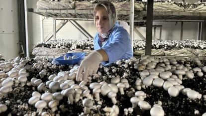 BOLU'DA 50 İŞÇİ 75 GÜNDÜR MAAŞ ALAMIYOR ...