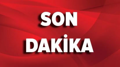 BOLU'DAN ACI HABER... AĞAÇ DALI KESMEK İÇİN ÇIKMIŞTI...