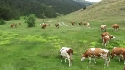 Çiftçilerimize Önemli Duyuru!..