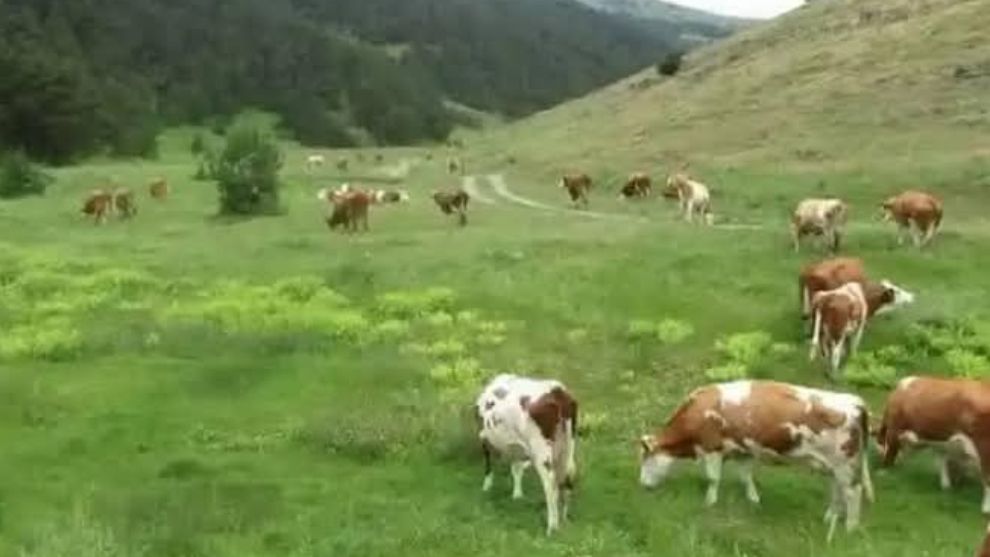 Çiftçilerimize Önemli Duyuru!..