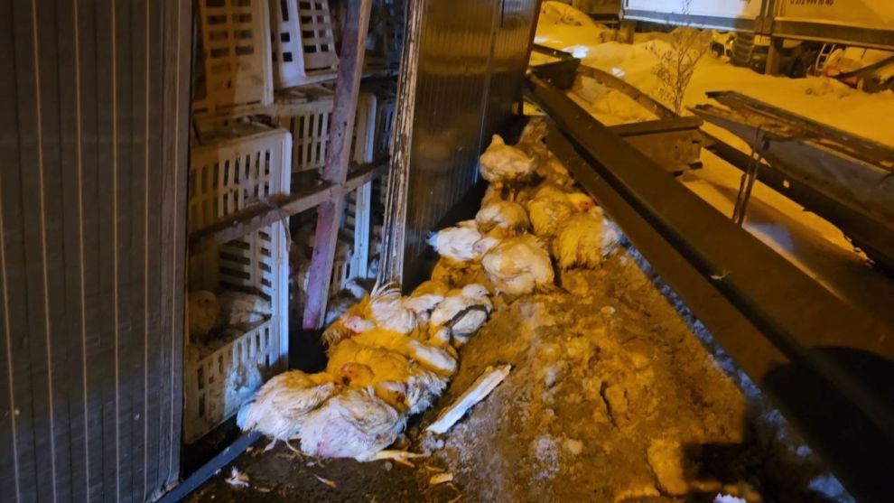 Zonguldak'tan Bolu'ya gidiyordu